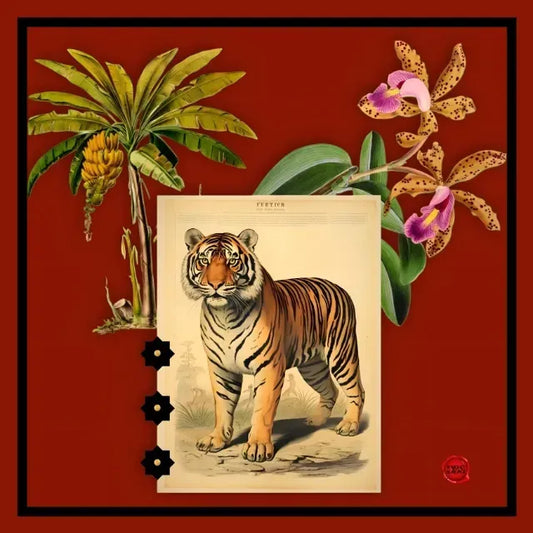 The Tiger Tale