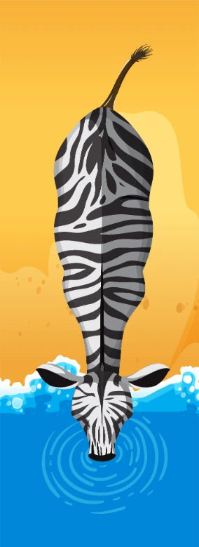 Zebra Drinking Water From River