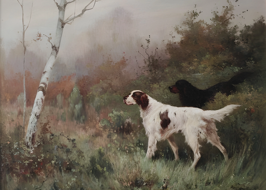 Lake Sunset Reflection