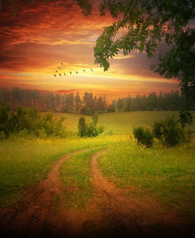 Sand Road Green Field Tree