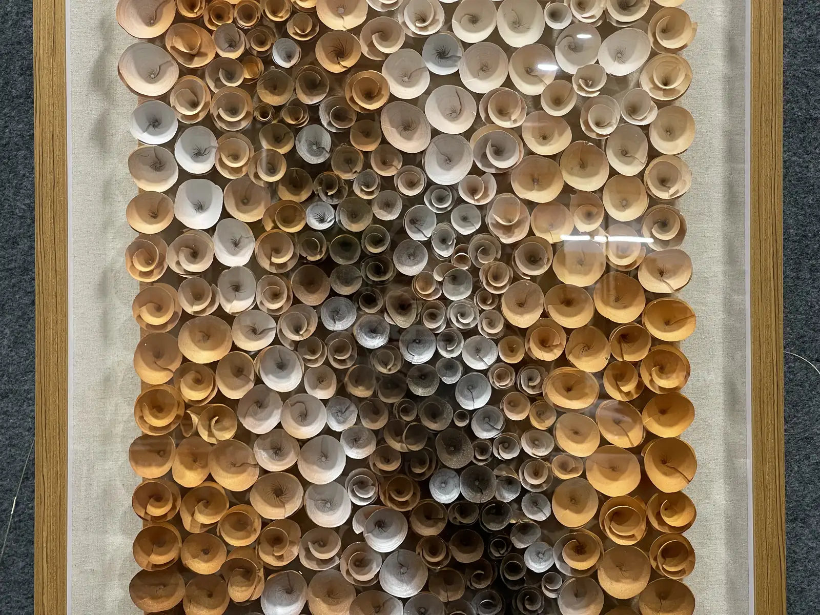 Mossy Natural Wood Slice Wall Art Vertical Design | Art Smiley Decor UAE