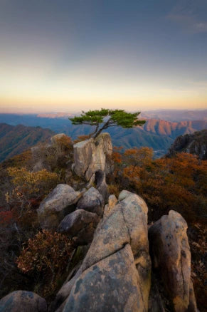 Scenic View Landscape Against Sky