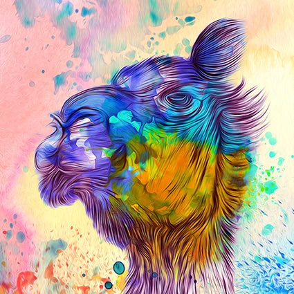Caravan King Camel wall art
