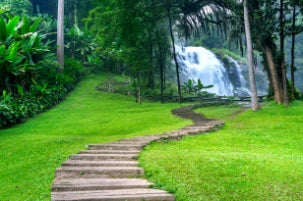 Waterfall Nature Thailand
