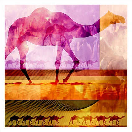 Dune Wanderer Camel wall art