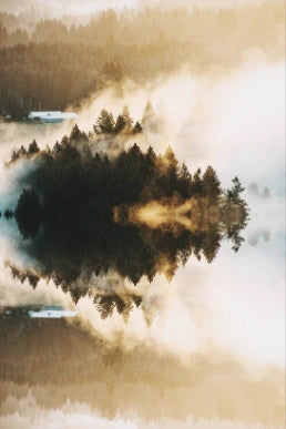 Scenic View Lake Against Forest Sunset