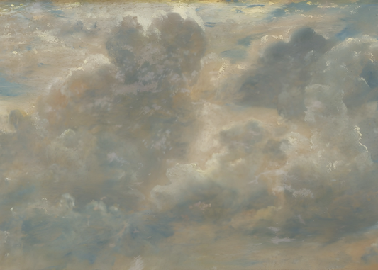 Moody Sky Over Fields