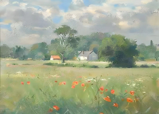 Meadow Wildflower Border