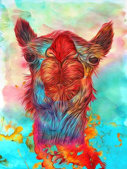 Desert Majesty #21 Camel wall art