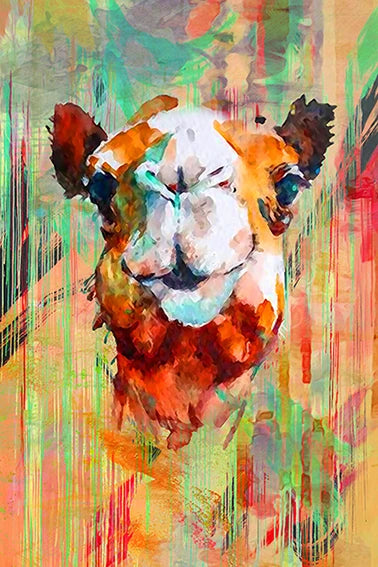 Nomad’s Pride Camel wall art