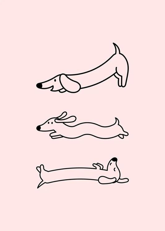 Zen Dog In A Morning Stretch