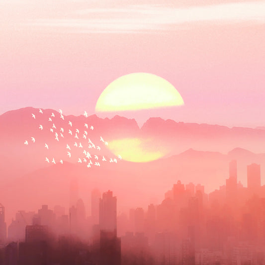 The Sky is Pink