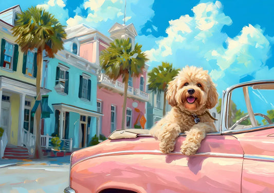 Stylish Pup Cruising In Pink
