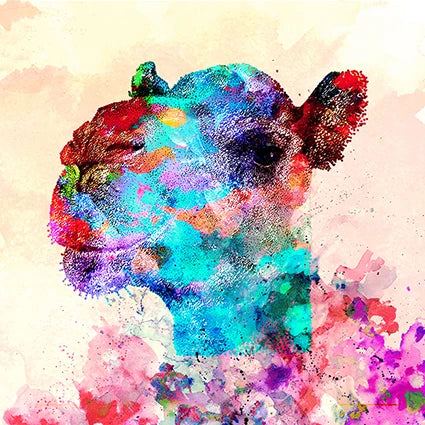 Sunset Nomad Camel wall art
