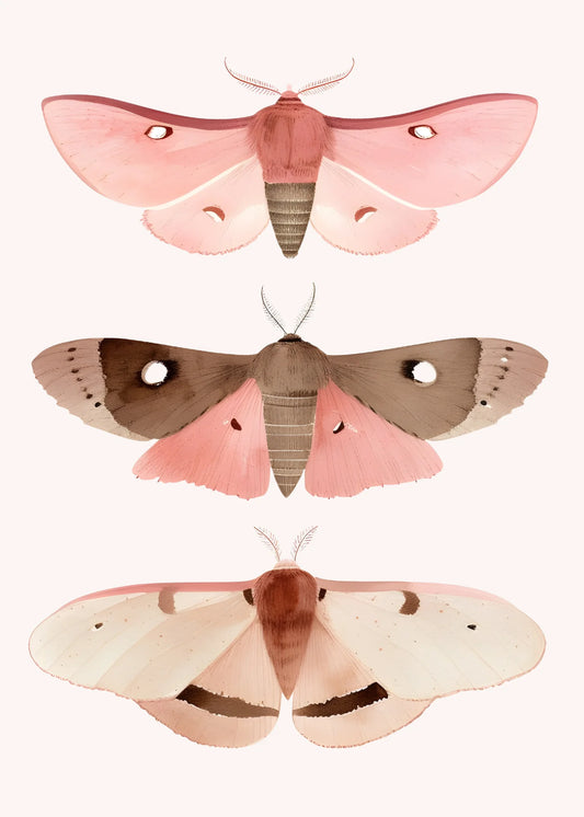 Three Pink Butterflies