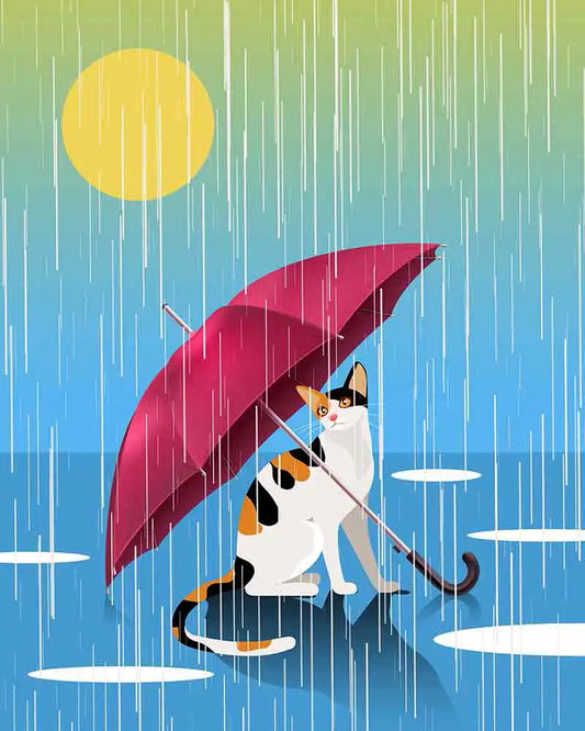 Sunny Rainy Cat