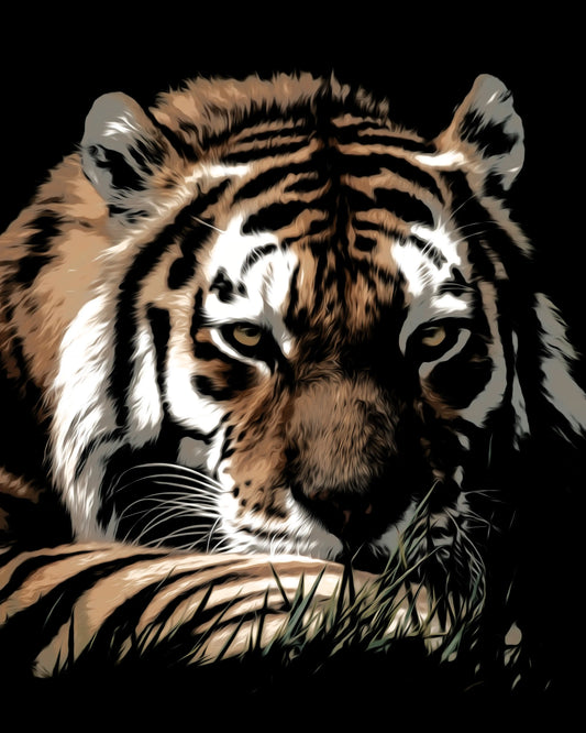 Black Tiger