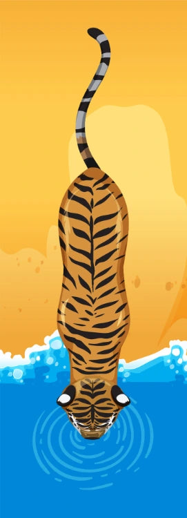 Tiger Drinking Water From River